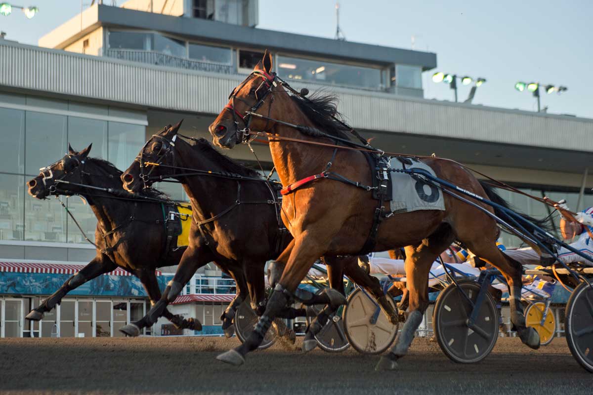 Need Mohawk Raceway Race Results? Weve Got You Covered! (Updated Daily)