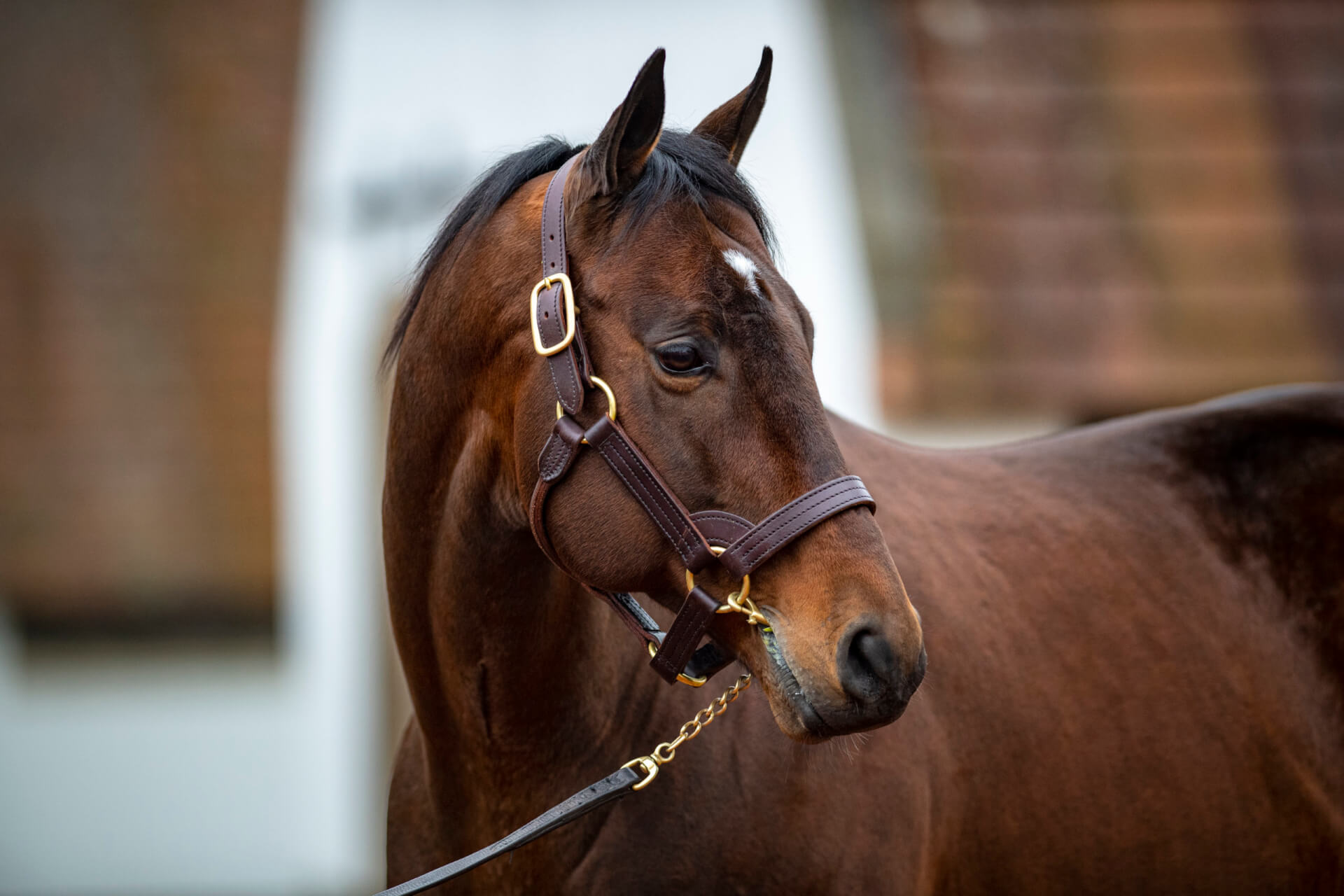 Mckinzie Stallion: Everything you should know about her!