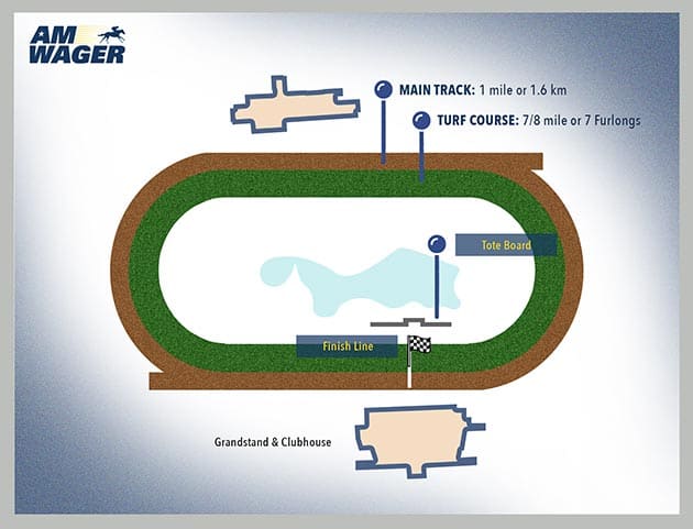 Meadowlands Results: Get Your Race Results Fast and Easy