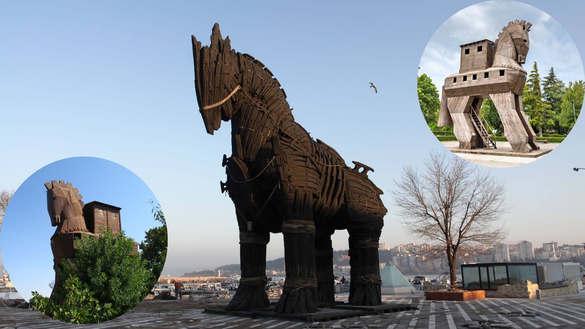 Explore the City of Troy Horse: A simple guide to a complex history.