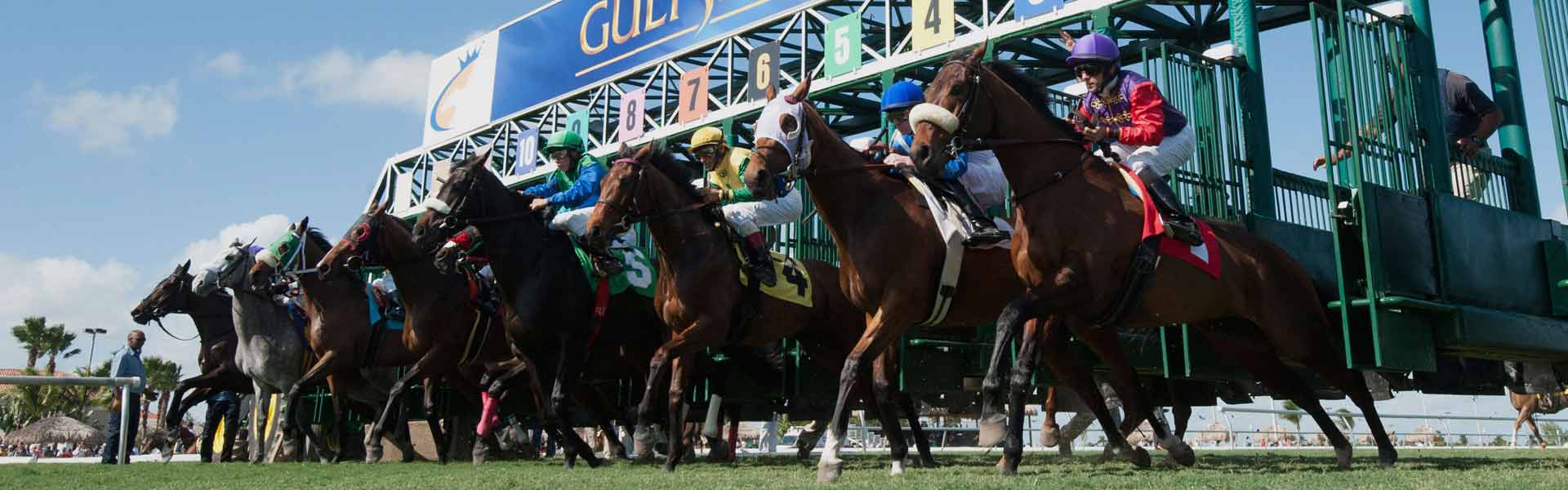 Gulfstream Racetrack Picks: Get the Best Free Picks for Todays Races Now!