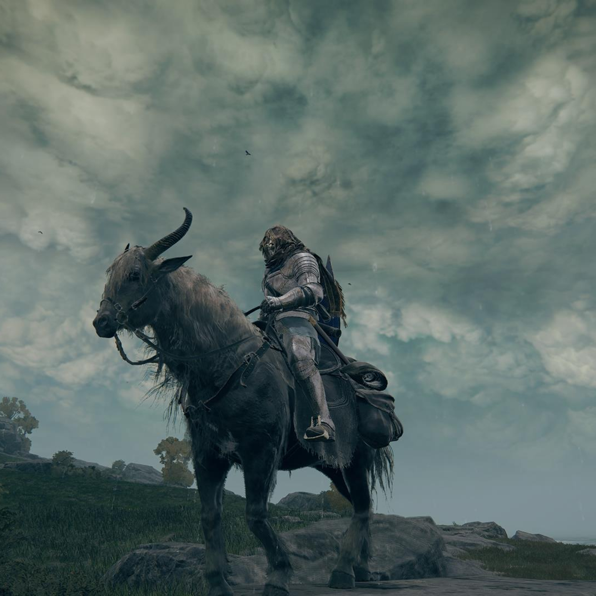 How to Play the Ring Horse? Get the Answer Here Now!