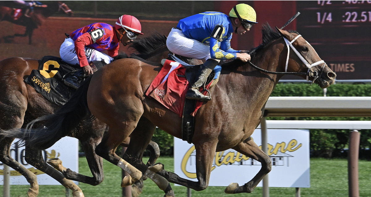 Where to buy Acqueduct Race 2 Card? Here are some places to get it!