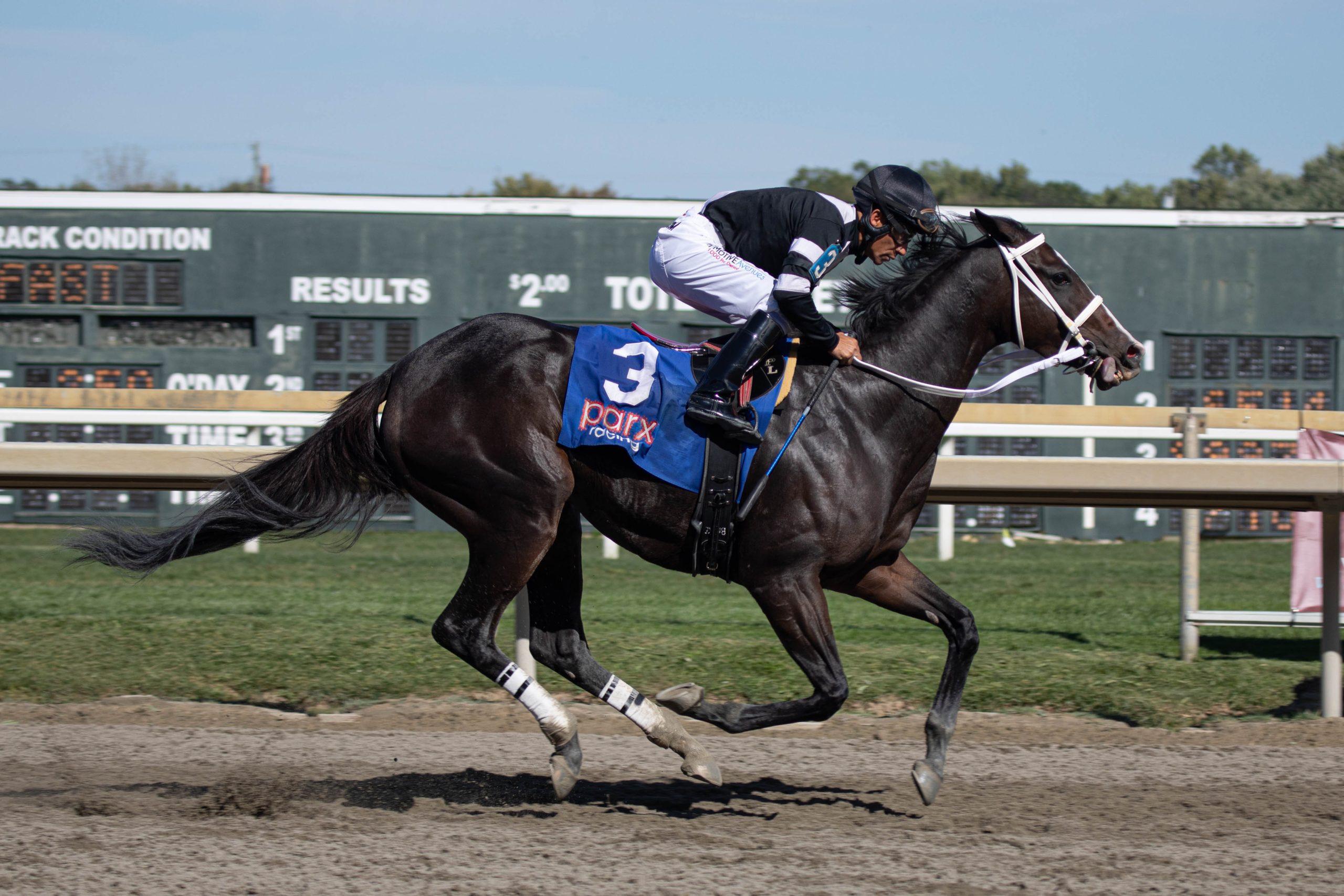 Parx Leading Jockeys: Get the Latest Rankings and Stats Here!