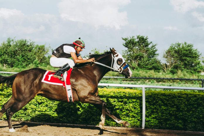 Owners of Race Horses: How Do They Make Money? (Exploring the Financial Side of Racing)
