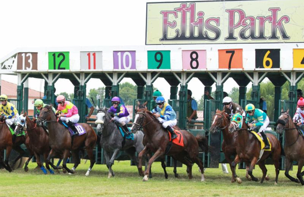 Ellis Park Results Today and Payouts Live Updates and More
