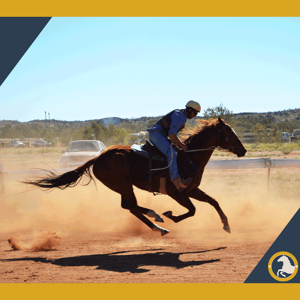 Running Horse for Speed: Secrets from Expert Trainers!