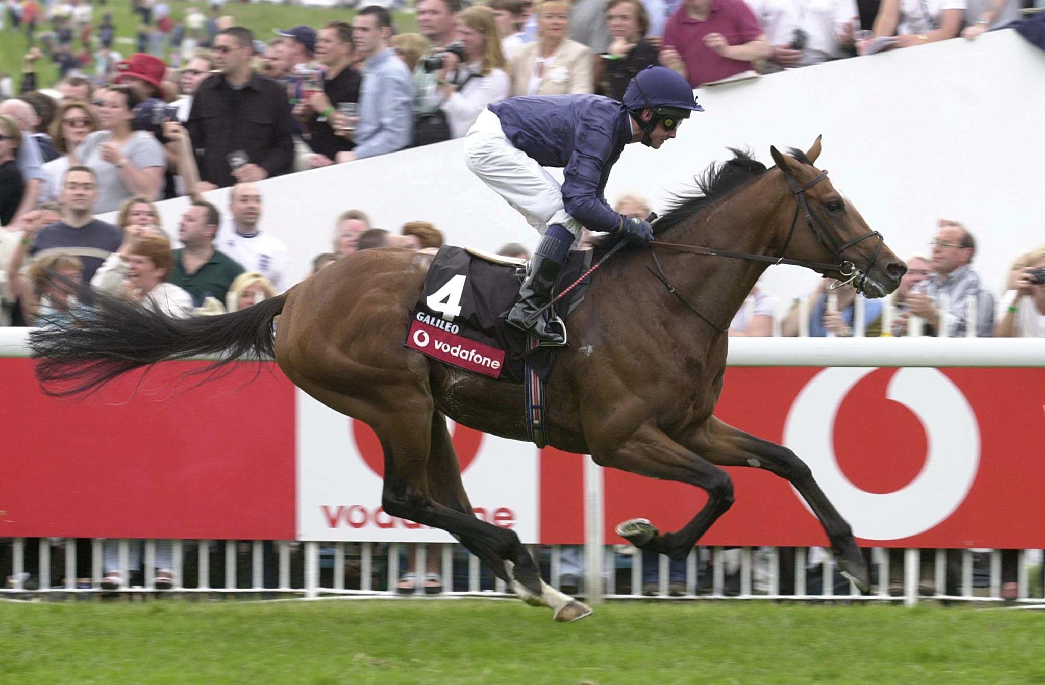 Owners of Race Horses: How Do They Make Money? (Exploring the Financial Side of Racing)