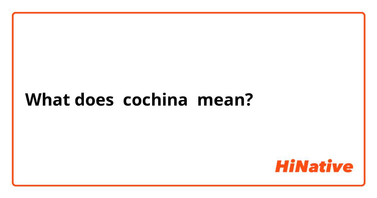 What is a Cochina? Find Out the Meaning and More!