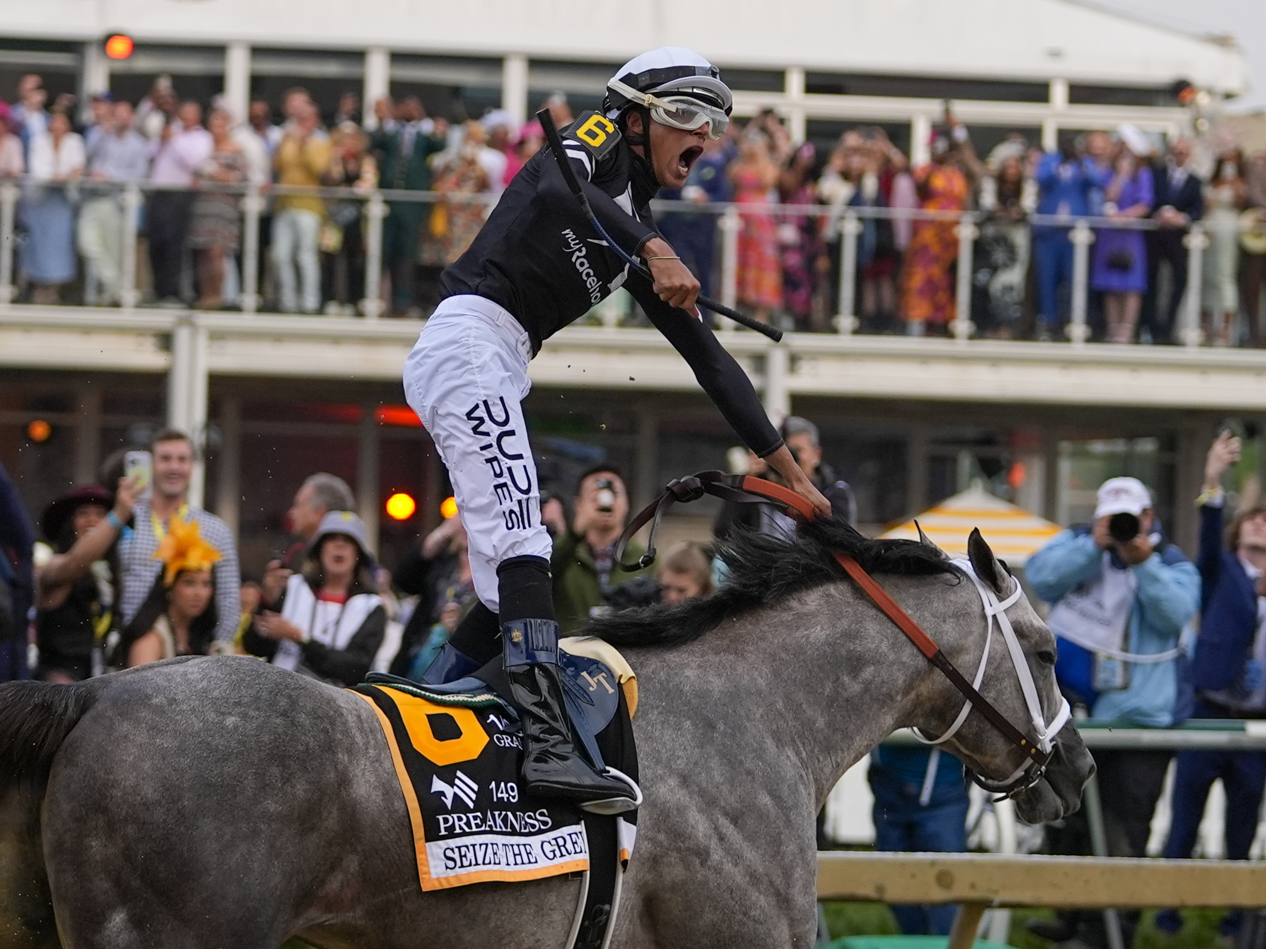 Seize the Gray Racehorse: Learn How to Pick Winners in Horse Racing