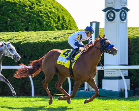 Whats the Woodford Stakes? A Simple Guide to This Horse Race.