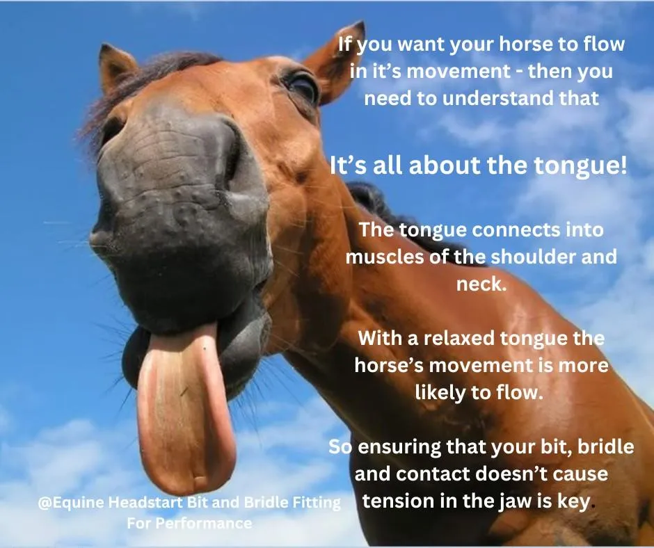 Horse Tongue: Whats It Like? A Simple Guide to Understanding This Unique Feature of Horses!