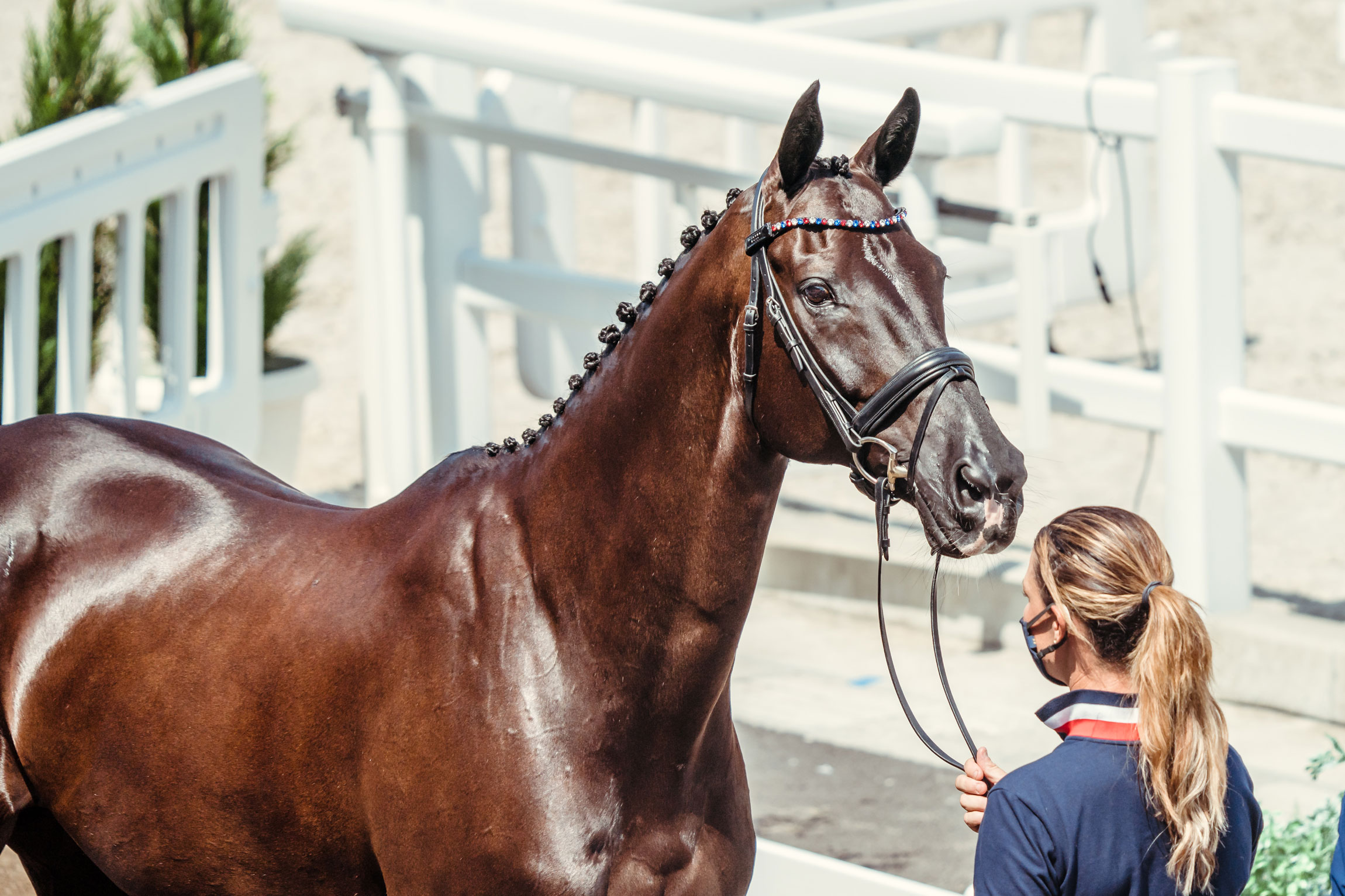 How to get a buff horse: Follow these simple steps for a stronger horse!