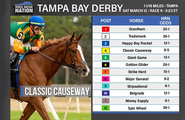 Tampa Bay Downs Results: All the Winners and Payouts.