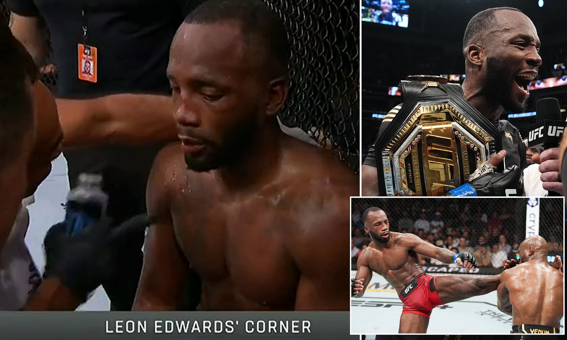 Is It Cheating? Excessive Coaching UFC Debated: The Real Story on Corner Advice!