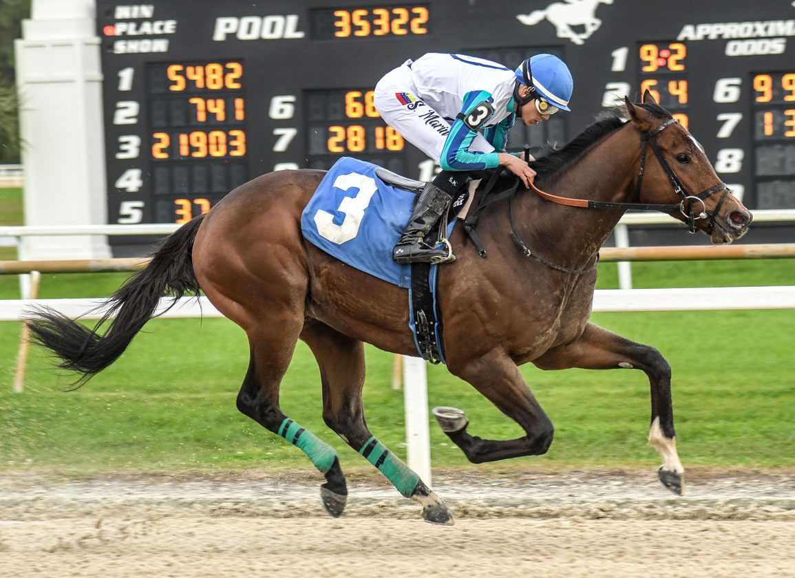 Book Em Danno Horse: Is This the Next Big Thing in Horse Racing?