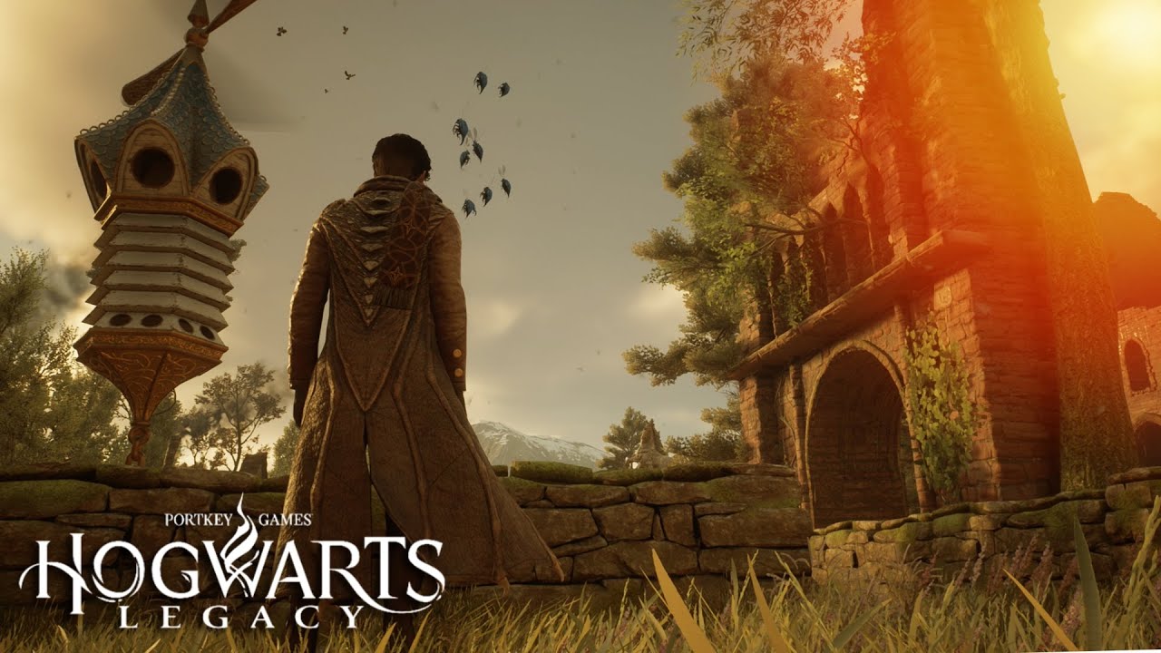 Best Vivariums Hogwarts Legacy? Maximize Space and Creature Comfort.