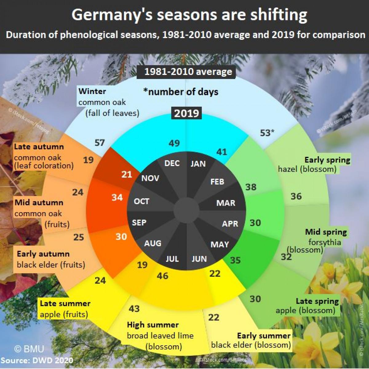 Understanding German Seasons: Climate and Seasonal Changes.