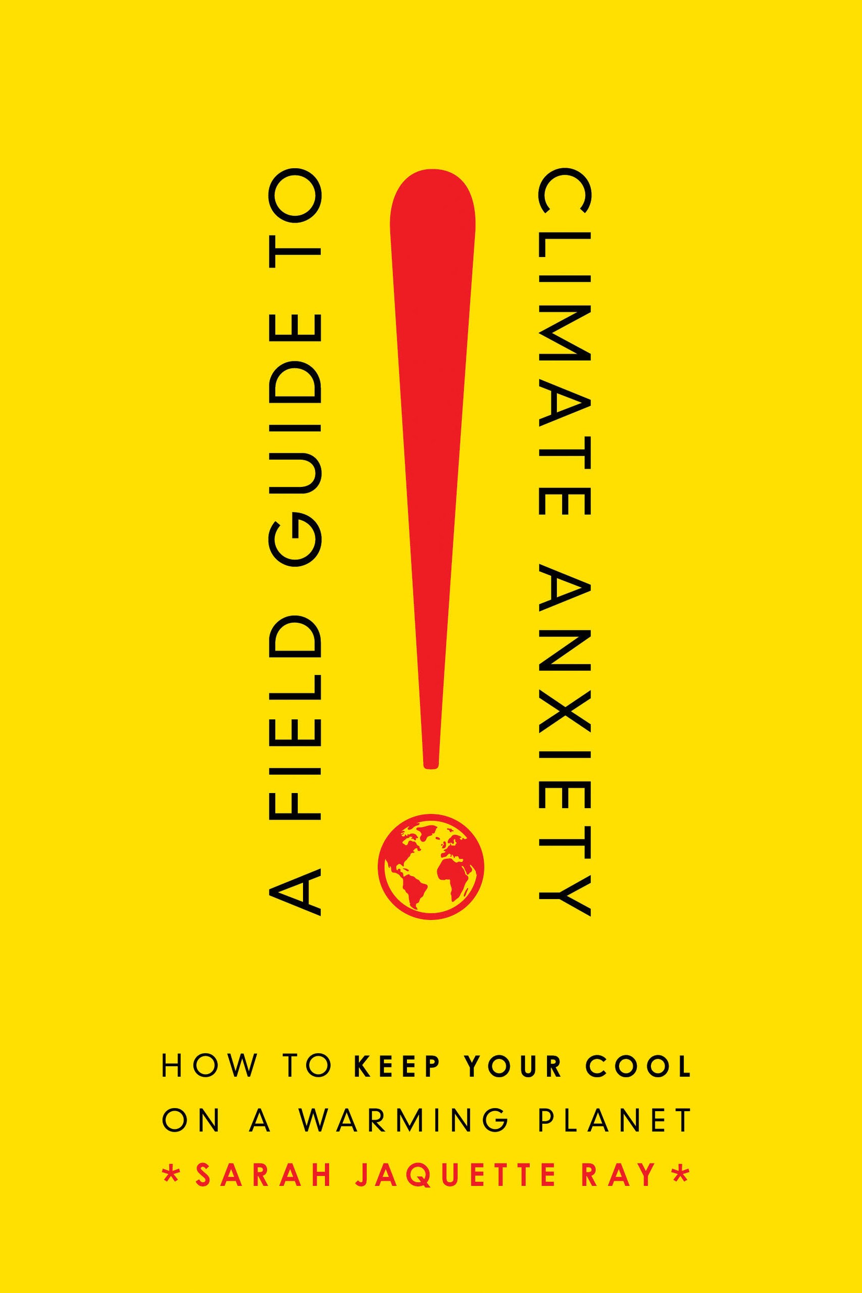 Ray Fight for Everyone: Easy Guide and Essential Knowledge.