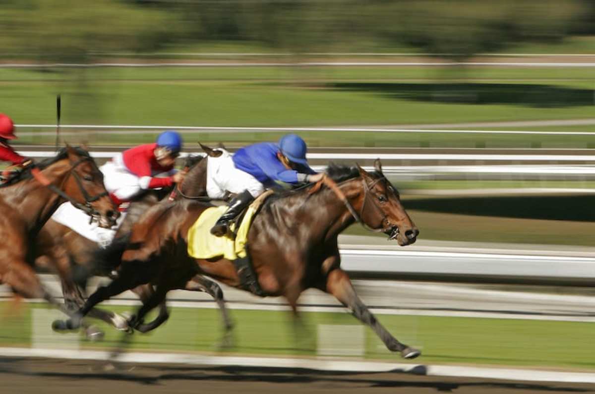 Lasix and Equine Performance: The Facts You Need to Know!