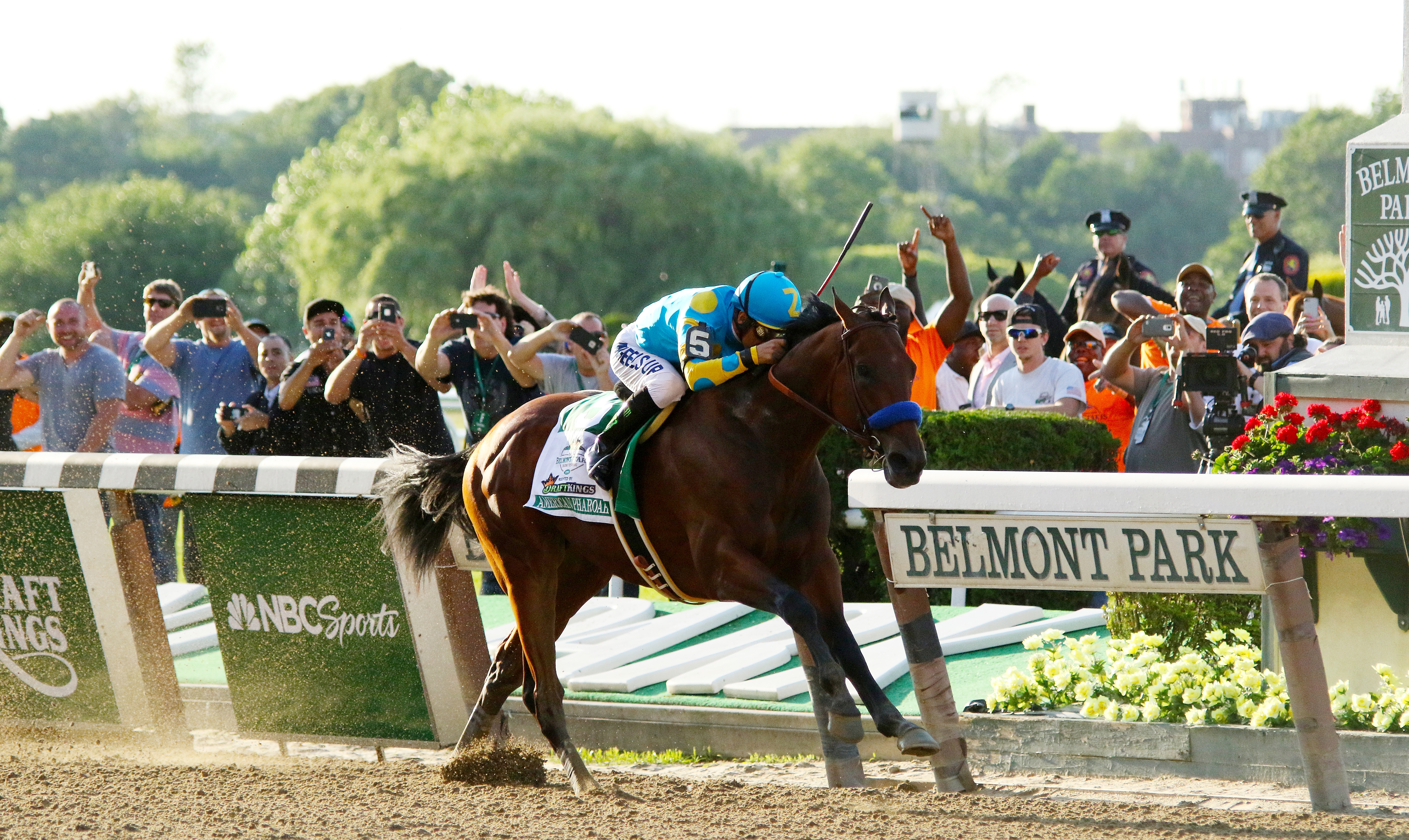 Win the Grand Slam of Horse Racing? Ultimate Guide for Beginners!
