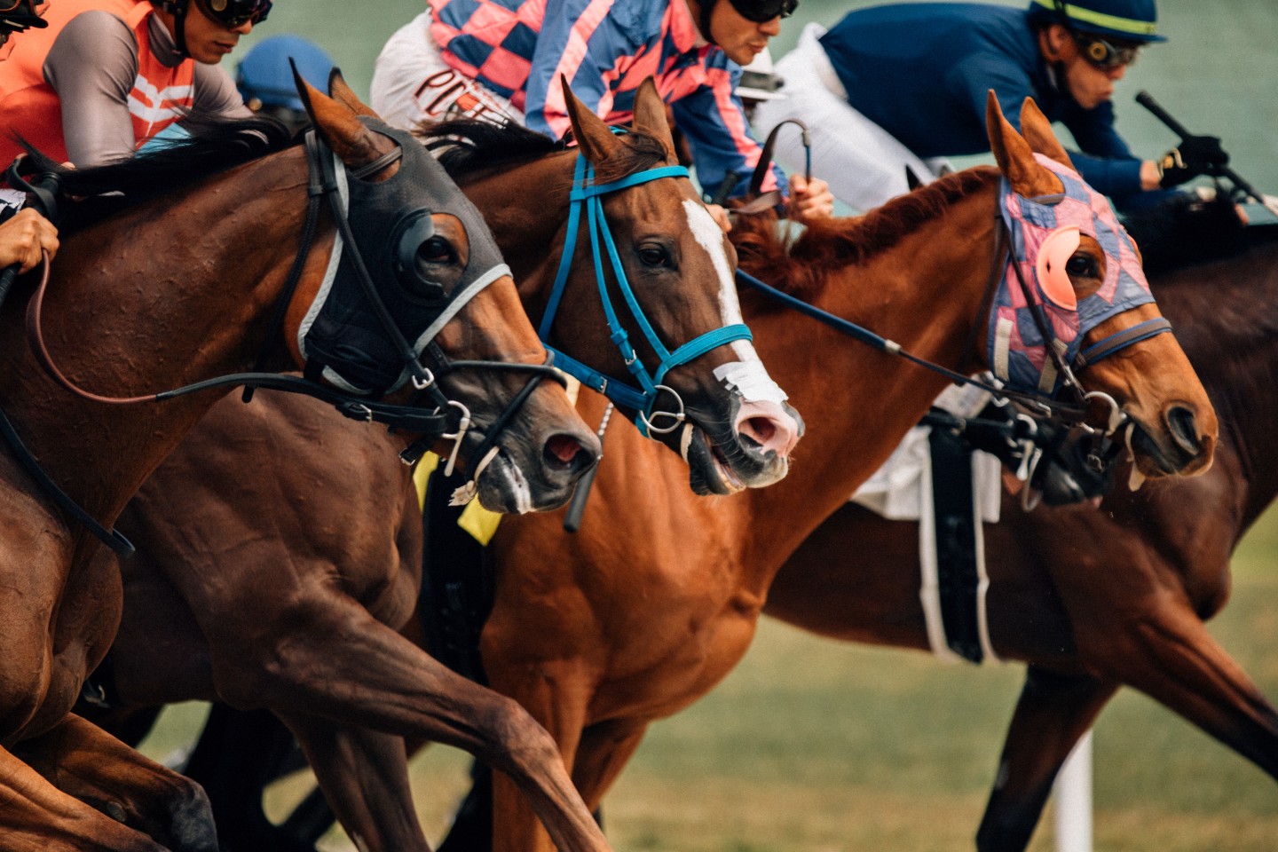 Win the Grand Slam of Horse Racing? Ultimate Guide for Beginners!