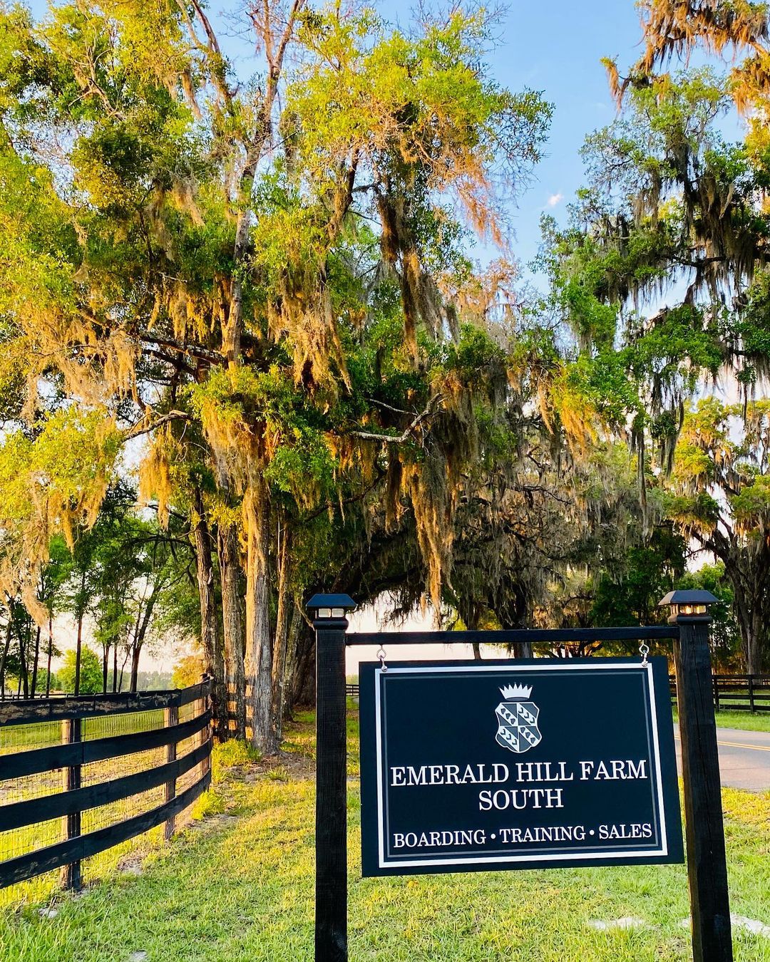 Emerald Hill Farm Essex: Your Ultimate Guide to Visiting & Exploring!