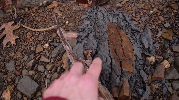 Finding Natural Clay: Easy Guide for Beginners & DIY Fans!