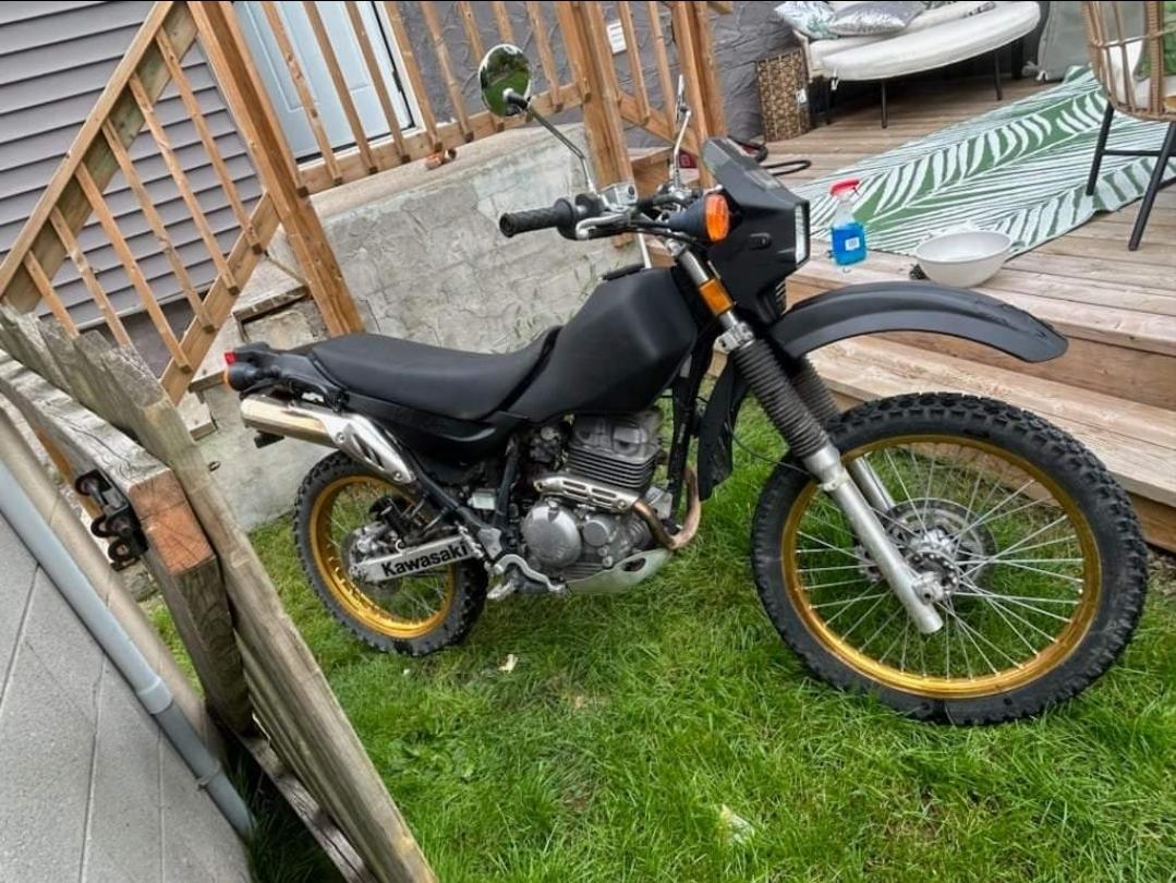 Kawasaki Sherpa 250: Is This the Best Beginner Dual Sport Bike?