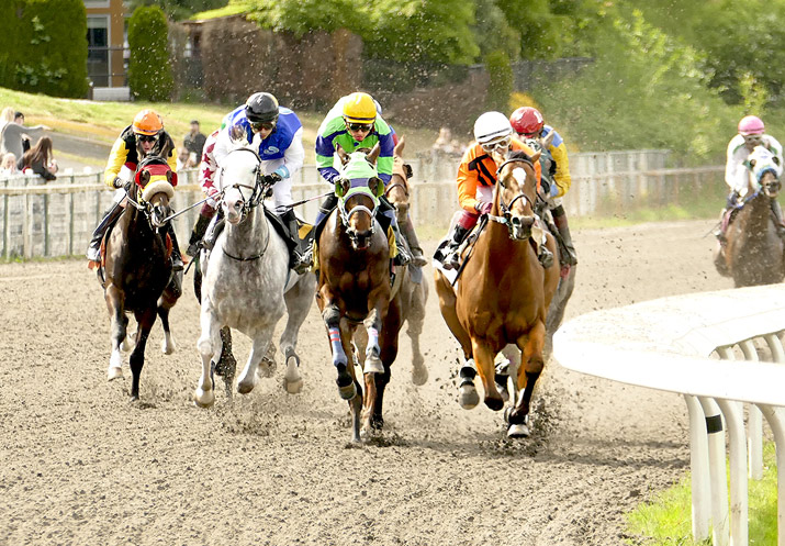 Bet at Hastings Racetrack Vancouver: how get started,have more fun.