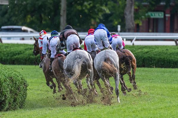 Saratoga Challenge 2024: Get Ready to Race (Tips & Info)
