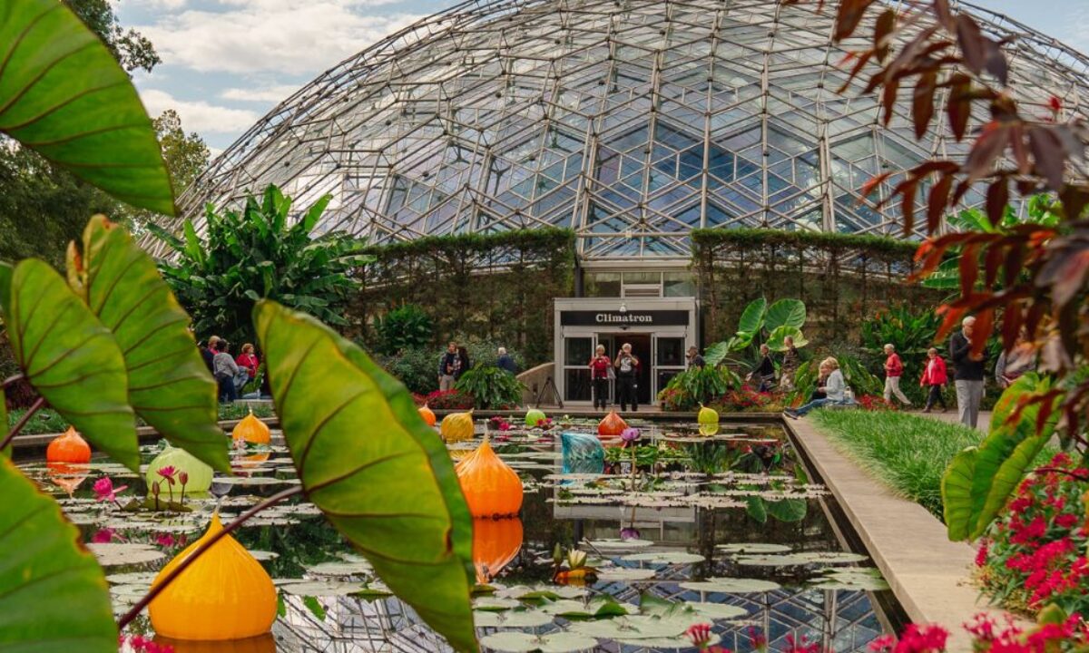 Plan Your Trip: The Lou St. Louis, neighbourhoods, hotels and attractions!