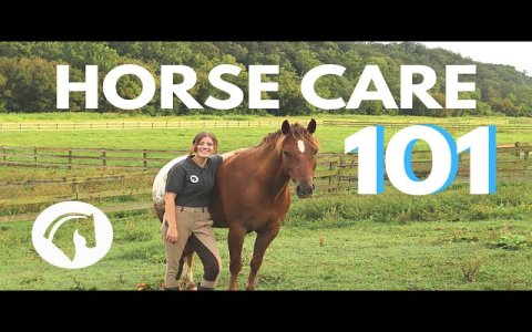 Best of Horse: Expert Advice for Horse Care and Riding.