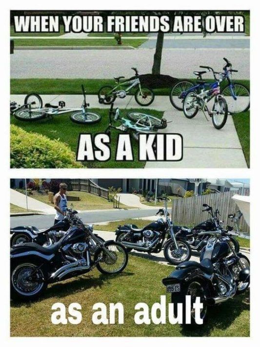 Funny Sportbike Quotes: The Ultimate Collection of Hilarious Motorcycle Rider.