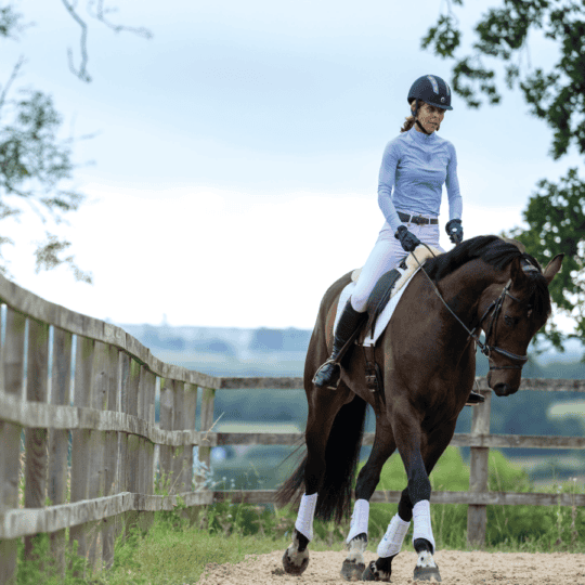 Best of Horse: Expert Advice for Horse Care and Riding.