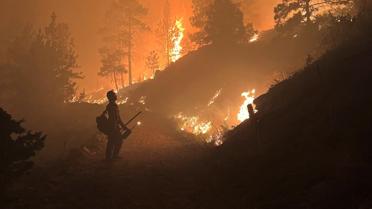 Horse Gulch Fire: fighting the blaze and how it started?