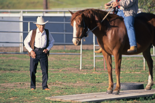 Want tips from Ray Hunt horse trainer? Get insights into effective horse communication.