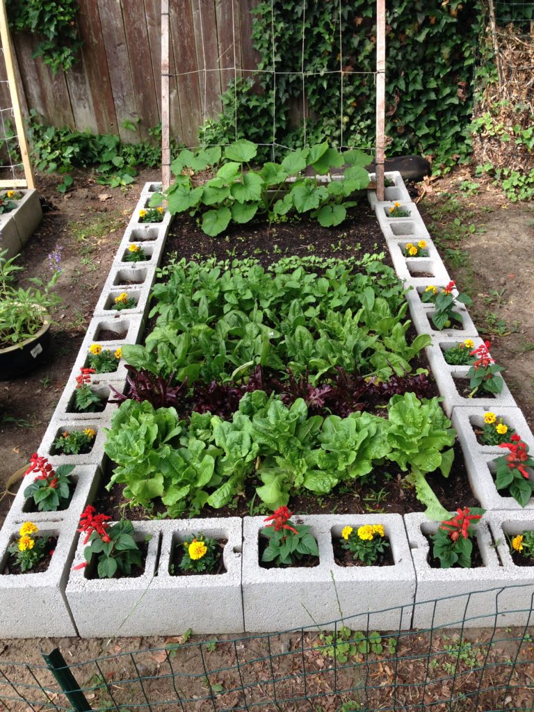 How Big Does a Garden Need to be (Starting your First Garden)