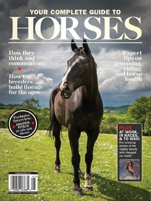Washington Horse: Your Ultimate Guide to Equestrian Life.