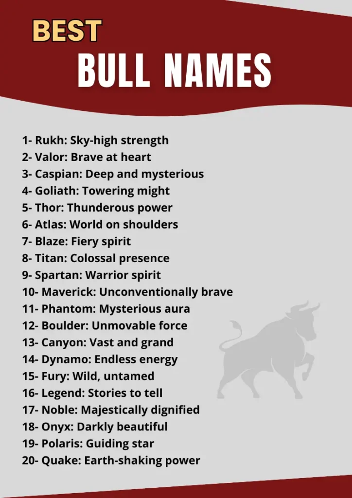 What Are Good Fighting Bull Names? Check This List Now!