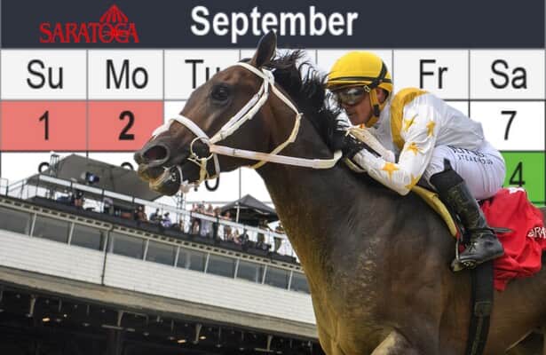 Need Saratoga Horse Racing Analysis? Check Out This Simple Guide Now!