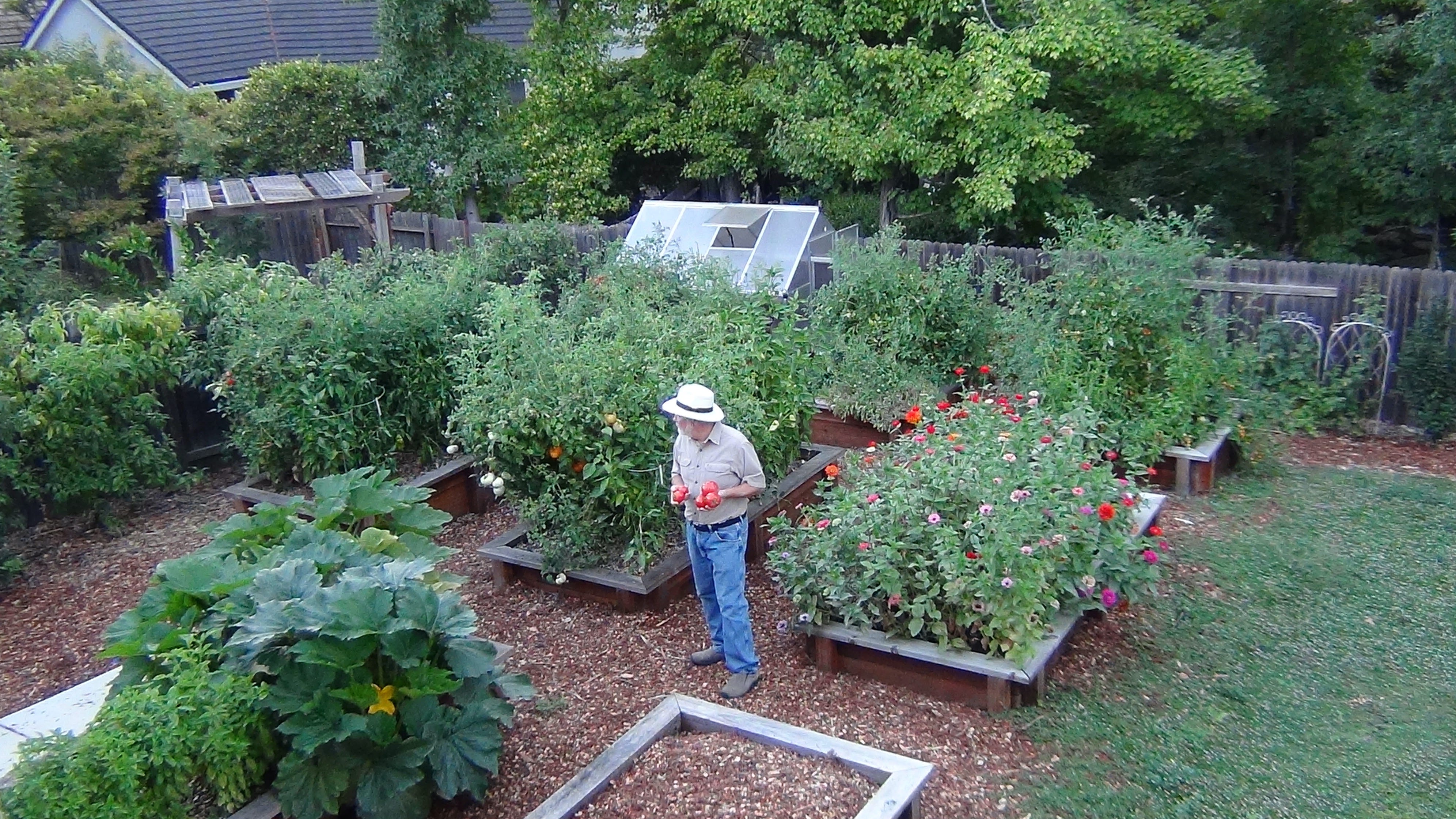 How Big Does a Garden Need to be (Starting your First Garden)