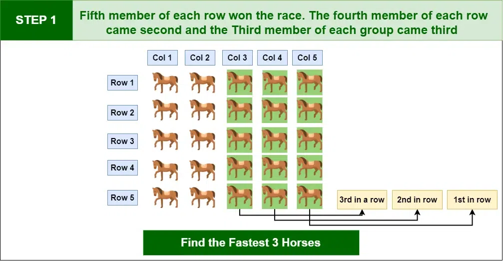 Wondering How Many Horses in a Race? Here are your answers!
