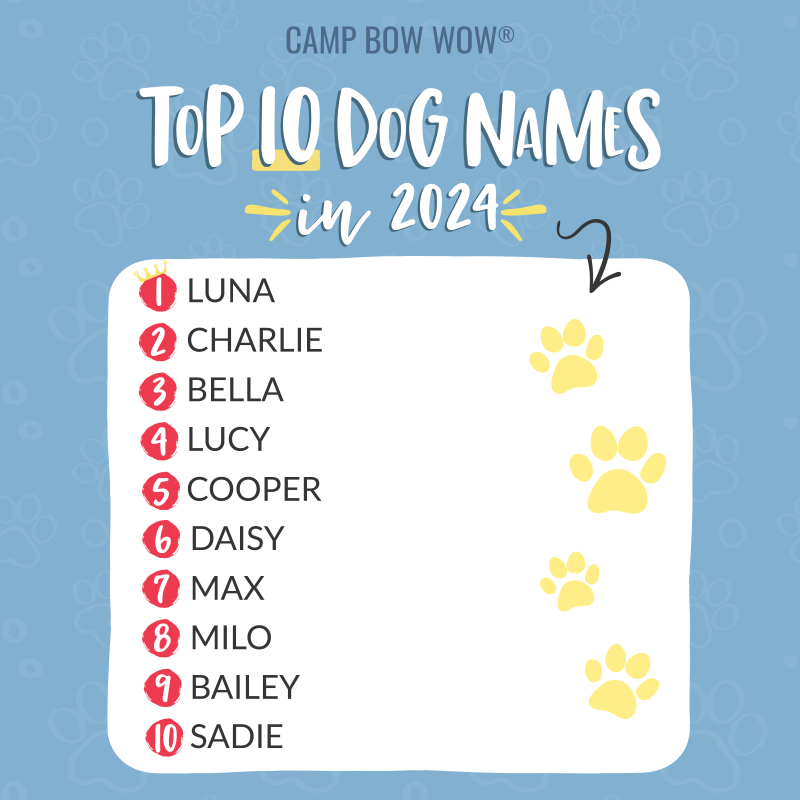 What are some cool pet names for March? Find fun and fitting choices for your furry friend.