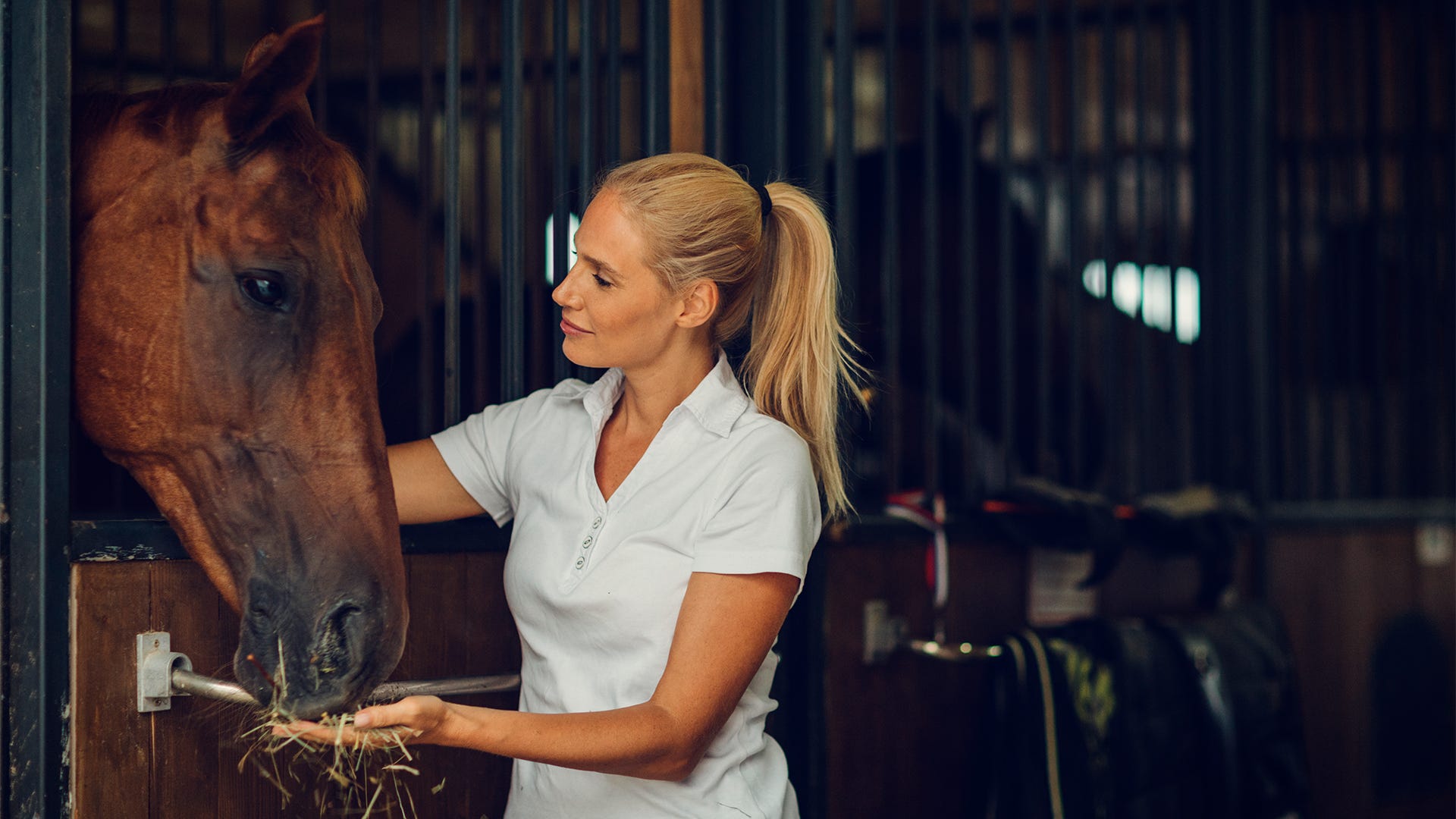 Best of Horse: Expert Advice for Horse Care and Riding.