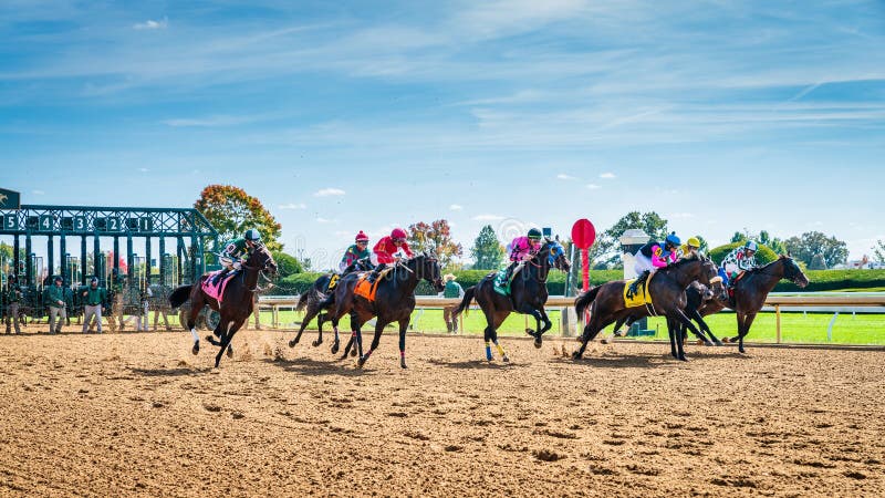 Searching for free Keeneland images? See the best available collections.
