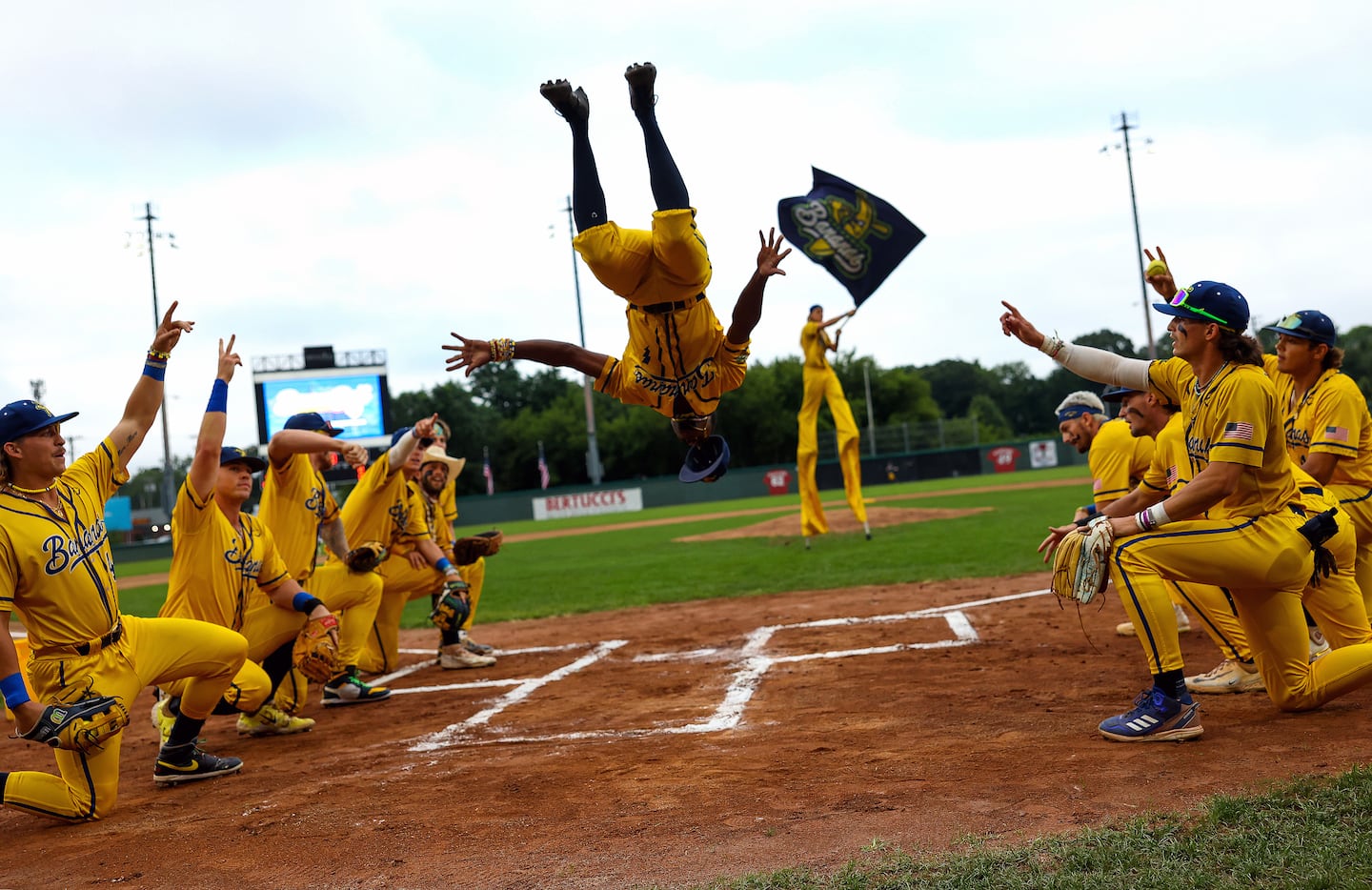 What makes Savannah Bananas Fenway 2024 special? Discover the unique baseball show fun.