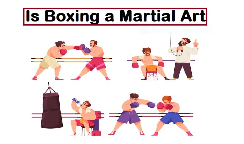 Is Boxing a Martial Art? Understand Boxing Basics Here