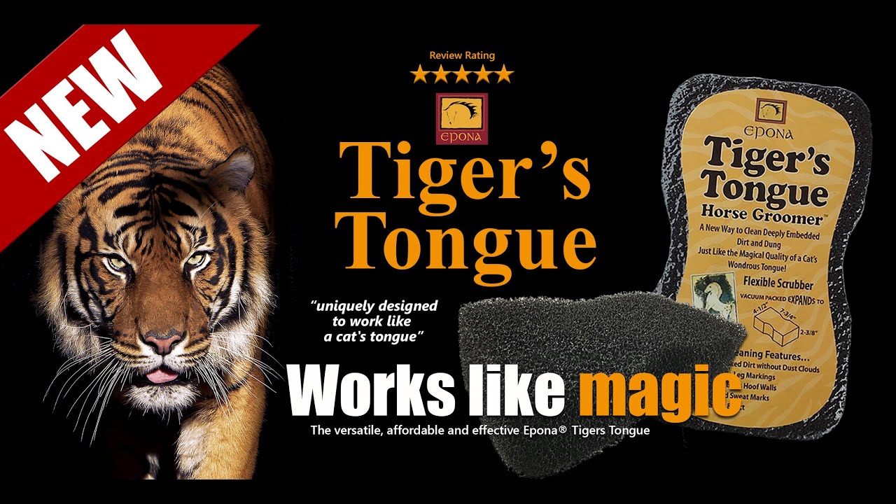 Buy tiger tongue now: Best places to find tiger tongue online.