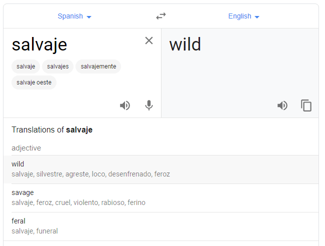 How do you say wild in Spanish? Learn the most common words like salvaje.
